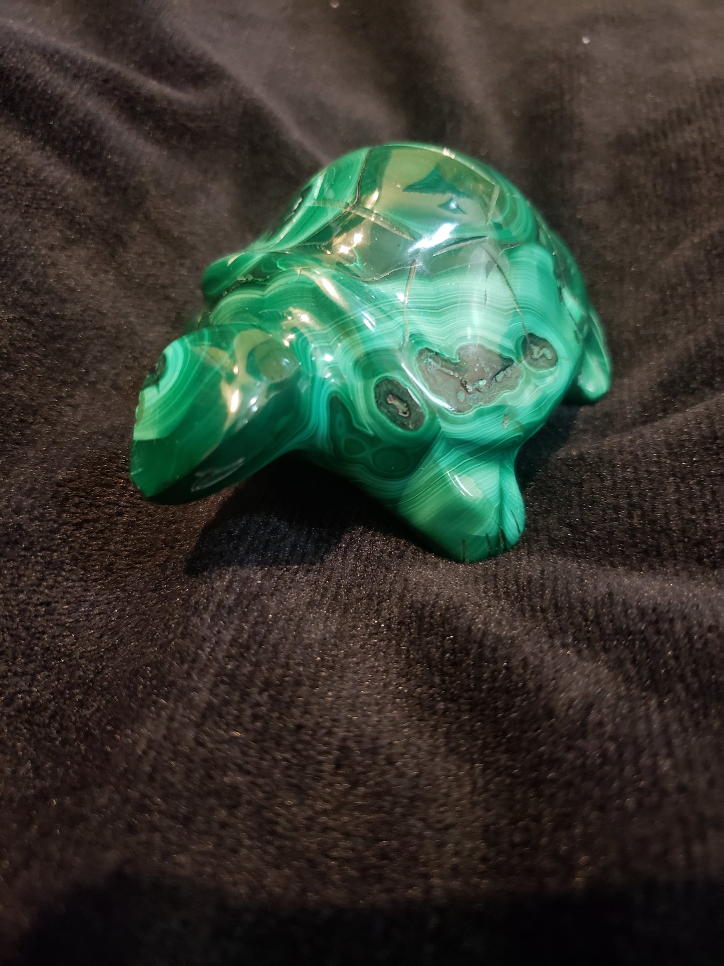 MALACHITE TURTLE