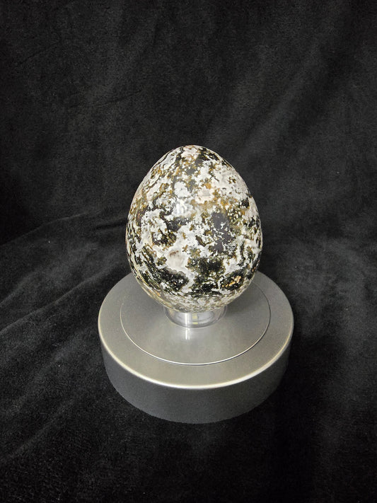 ZEBRA JASPER EGG