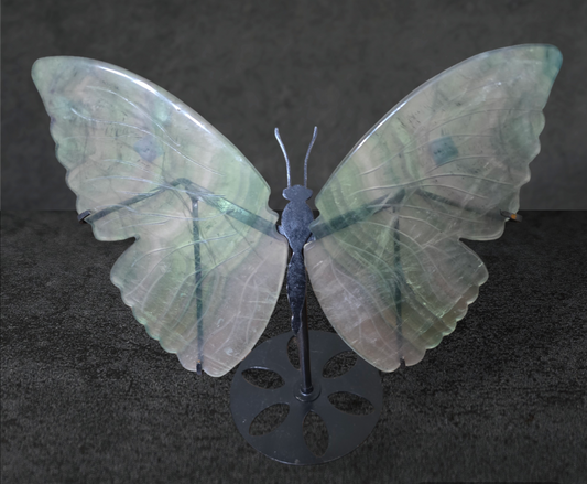 FLUORITE BUTTERFLY